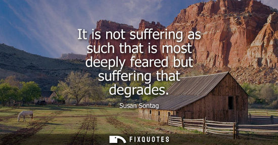 Small: It is not suffering as such that is most deeply feared but suffering that degrades