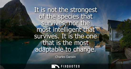 Small: It is not the strongest of the species that survives, nor the most intelligent that survives. It is the