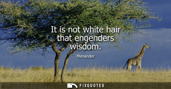 Small: It is not white hair that engenders wisdom
