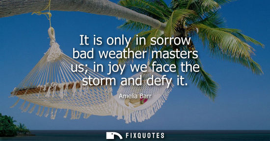 Small: It is only in sorrow bad weather masters us in joy we face the storm and defy it
