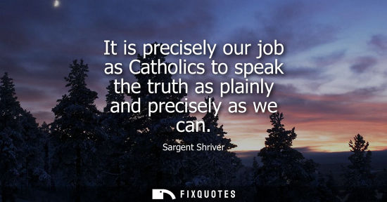 Small: It is precisely our job as Catholics to speak the truth as plainly and precisely as we can