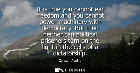 Small: It is true you cannot eat freedom and you cannot power machinery with democracy. But then neither can politica