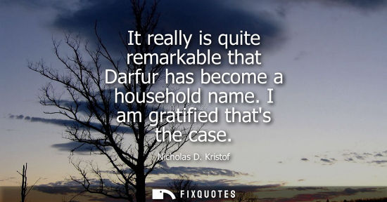 Small: It really is quite remarkable that Darfur has become a household name. I am gratified thats the case