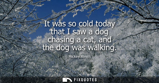 Small: It was so cold today that I saw a dog chasing a cat, and the dog was walking