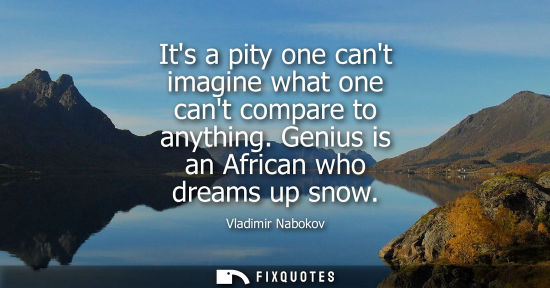 Small: Its a pity one cant imagine what one cant compare to anything. Genius is an African who dreams up snow