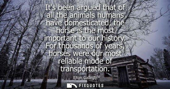 Small: Its been argued that of all the animals humans have domesticated, the horse is the most important to our histo