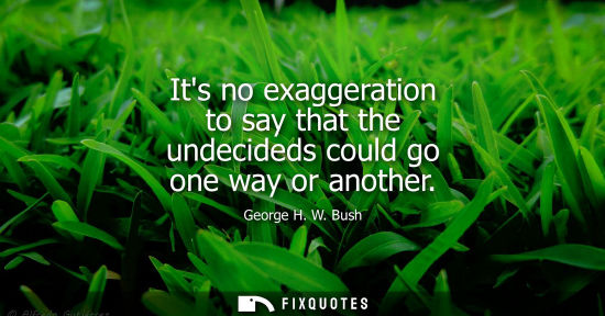 Small: Its no exaggeration to say that the undecideds could go one way or another