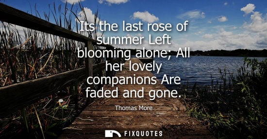 Small: Its the last rose of summer Left blooming alone All her lovely companions Are faded and gone