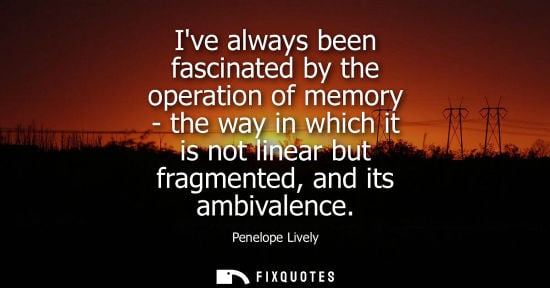 Small: Ive always been fascinated by the operation of memory - the way in which it is not linear but fragmente