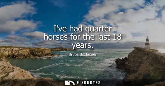 Small: Ive had quarter horses for the last 18 years