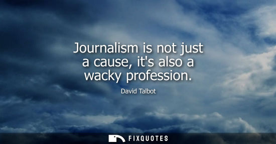 Small: Journalism is not just a cause, its also a wacky profession