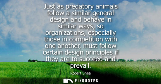Small: Just as predatory animals follow a similar general design and behave in similar ways, so organizations,