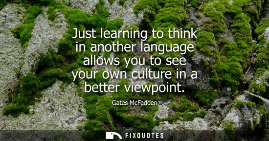 Small: Just learning to think in another language allows you to see your own culture in a better viewpoint