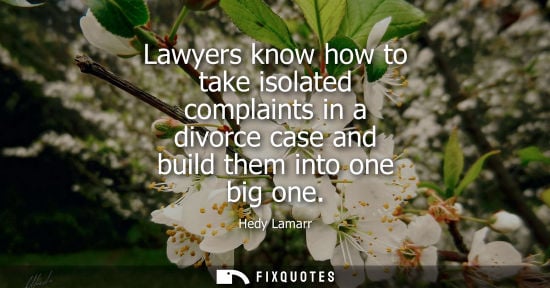 Small: Lawyers know how to take isolated complaints in a divorce case and build them into one big one