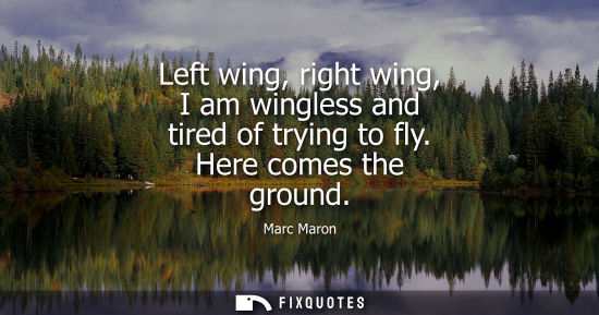 Small: Left wing, right wing, I am wingless and tired of trying to fly. Here comes the ground