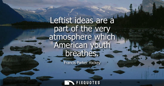 Small: Leftist ideas are a part of the very atmosphere which American youth breathes