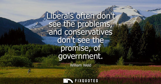 Small: Liberals often dont see the problems, and conservatives dont see the promise, of government