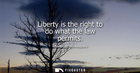 Small: Liberty is the right to do what the law permits