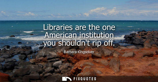 Small: Libraries are the one American institution you shouldnt rip off