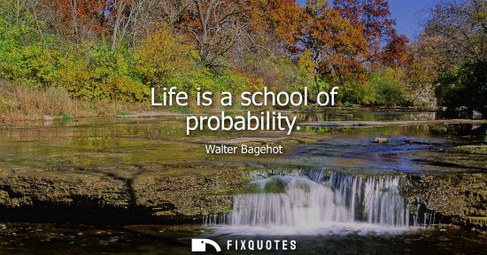 Small: Life is a school of probability