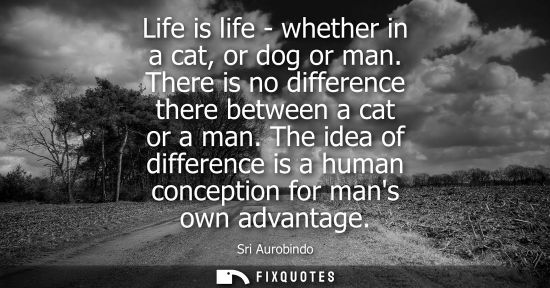 Small: Life is life - whether in a cat, or dog or man. There is no difference there between a cat or a man.