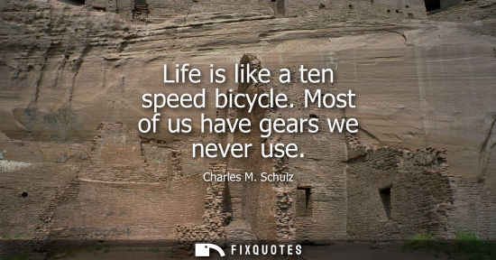 Small: Life is like a ten speed bicycle. Most of us have gears we never use