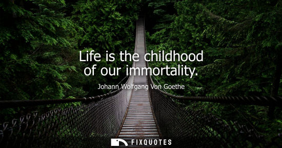 Small: Life is the childhood of our immortality - Johann Wolfgang Von Goethe