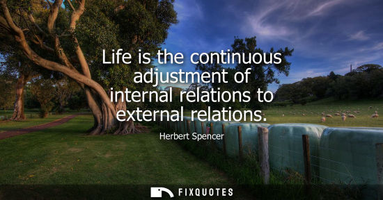 Small: Life is the continuous adjustment of internal relations to external relations