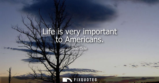 Small: Life is very important to Americans