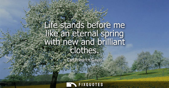 Small: Life stands before me like an eternal spring with new and brilliant clothes