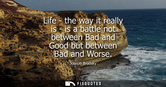 Small: Life - the way it really is - is a battle not between Bad and Good but between Bad and Worse
