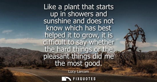 Small: Like a plant that starts up in showers and sunshine and does not know which has best helped it to grow,