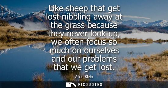 Small: Like sheep that get lost nibbling away at the grass because they never look up, we often focus so much 