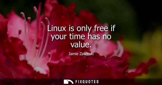 Small: Linux is only free if your time has no value