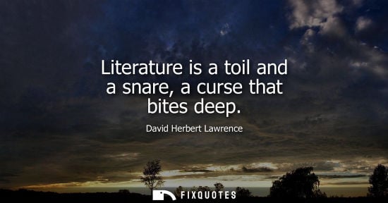 Small: Literature is a toil and a snare, a curse that bites deep