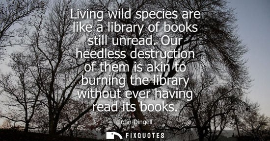 Small: Living wild species are like a library of books still unread. Our heedless destruction of them is akin 
