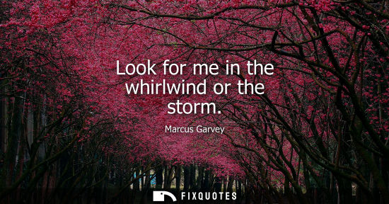 Small: Look for me in the whirlwind or the storm