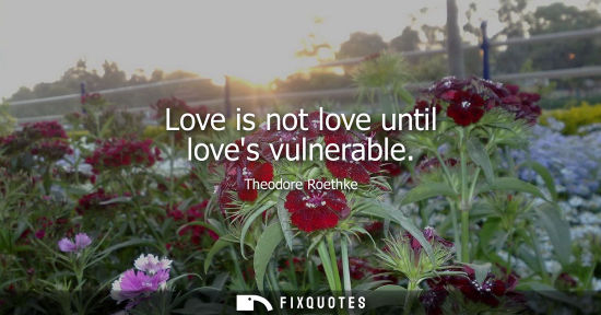 Small: Love is not love until loves vulnerable