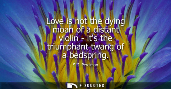 Small: Love is not the dying moan of a distant violin - its the triumphant twang of a bedspring