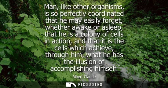 Small: Man, like other organisms, is so perfectly coordinated that he may easily forget, whether awake or asle