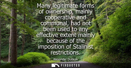 Small: Many legitimate forms of ownership, mainly cooperative and communal, had not been used to any effective