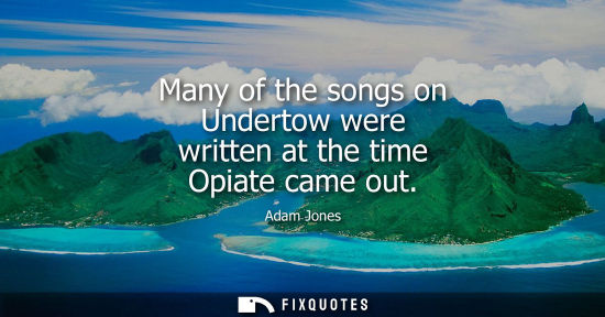 Small: Many of the songs on Undertow were written at the time Opiate came out