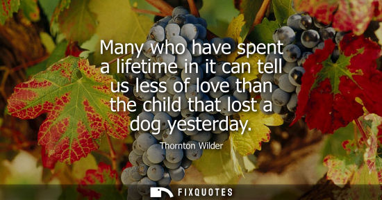 Small: Many who have spent a lifetime in it can tell us less of love than the child that lost a dog yesterday