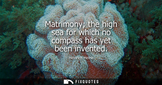 Small: Matrimony the high sea for which no compass has yet been invented
