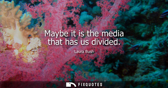 Small: Maybe it is the media that has us divided