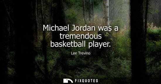 Small: Michael Jordan was a tremendous basketball player
