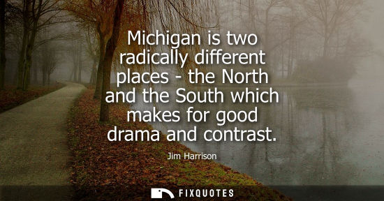 Small: Michigan is two radically different places - the North and the South which makes for good drama and con