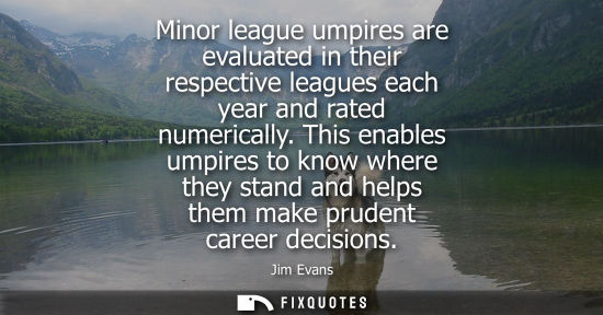 Small: Minor league umpires are evaluated in their respective leagues each year and rated numerically.