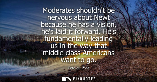 Small: Moderates shouldnt be nervous about Newt because he has a vision, hes laid it forward. Hes fundamentall