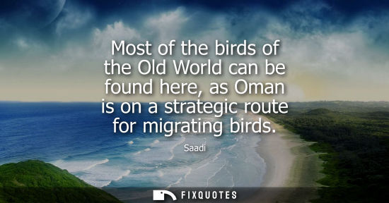 Small: Most of the birds of the Old World can be found here, as Oman is on a strategic route for migrating bir
